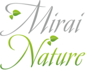 福岡でインフルエンサーのマーケティング手法をご提案 | Mirai Nature